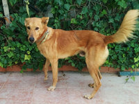 slider-img